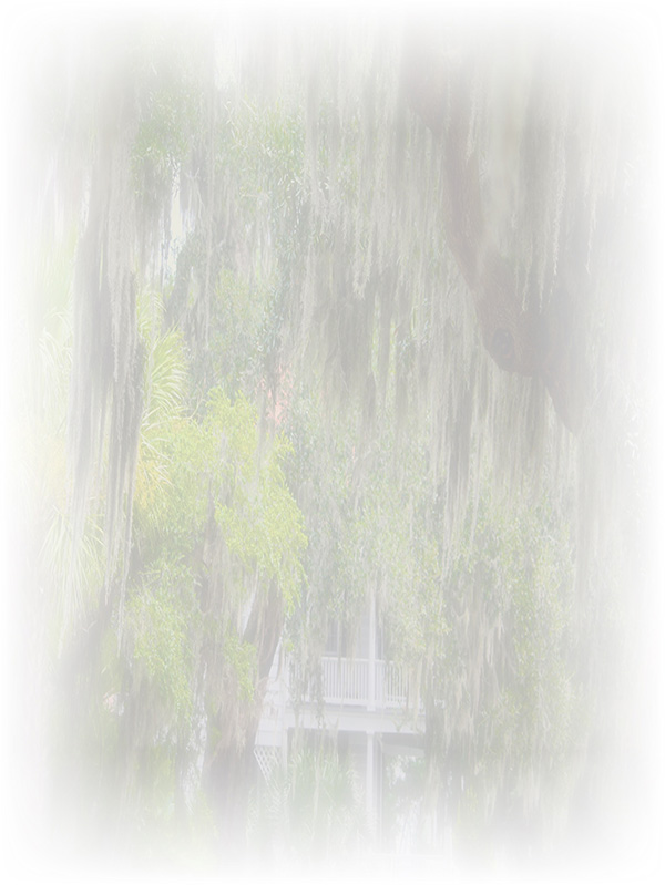 Law of Attraction Card - Image 3