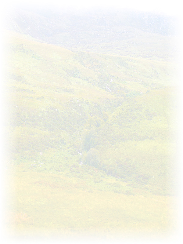Law of Attraction Card - Image 3