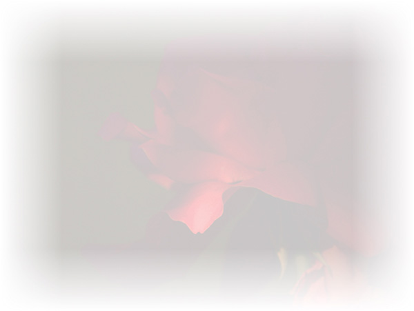 Law of Attraction Card - Image 3