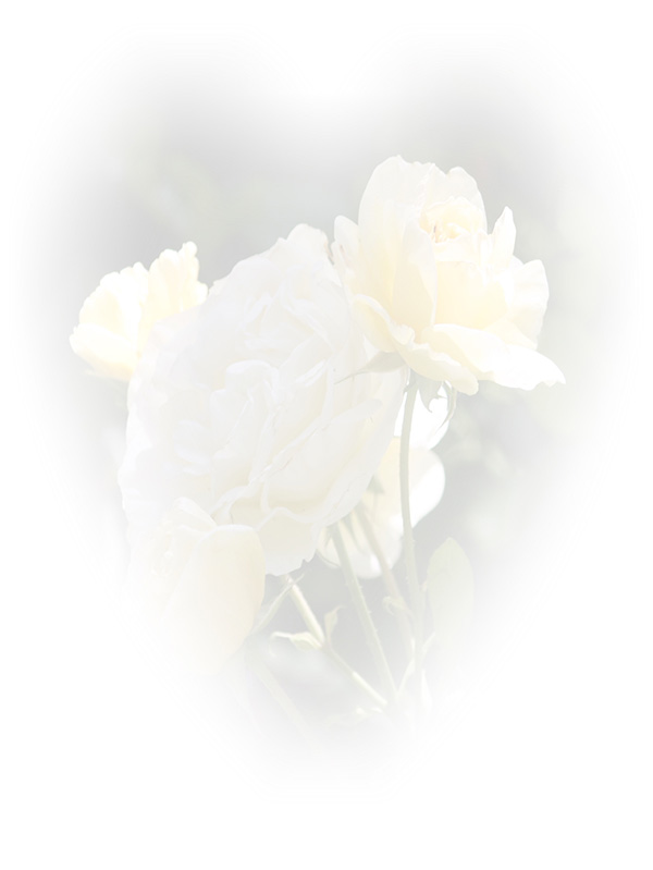Law of Attraction Card - Image 3