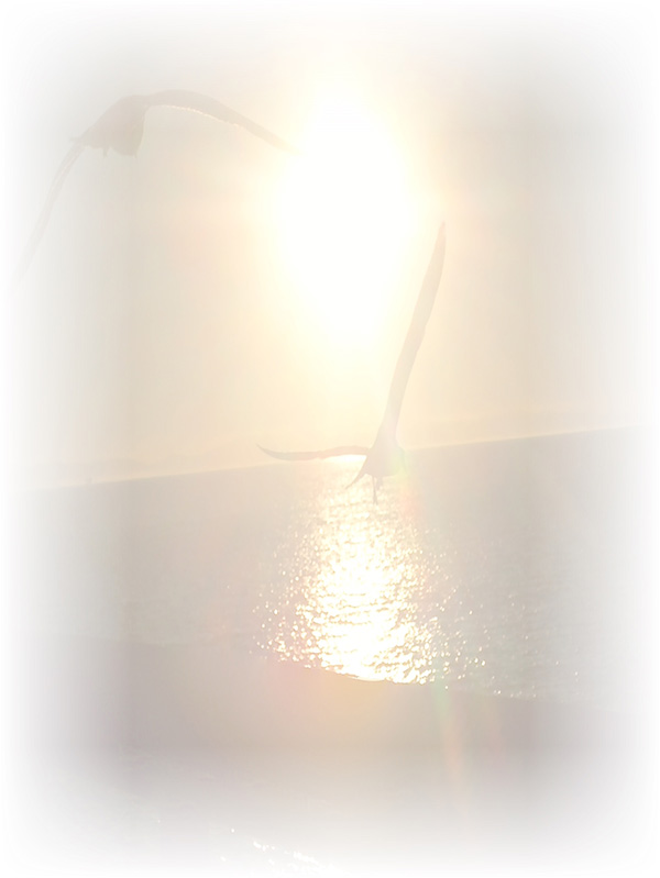 Law of Attraction Card - Image 3