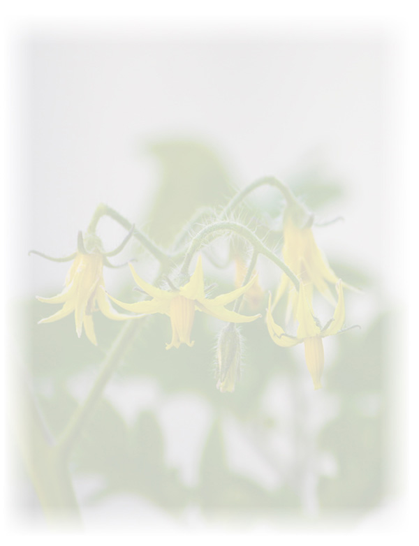 Law of Attraction Card - Image 3