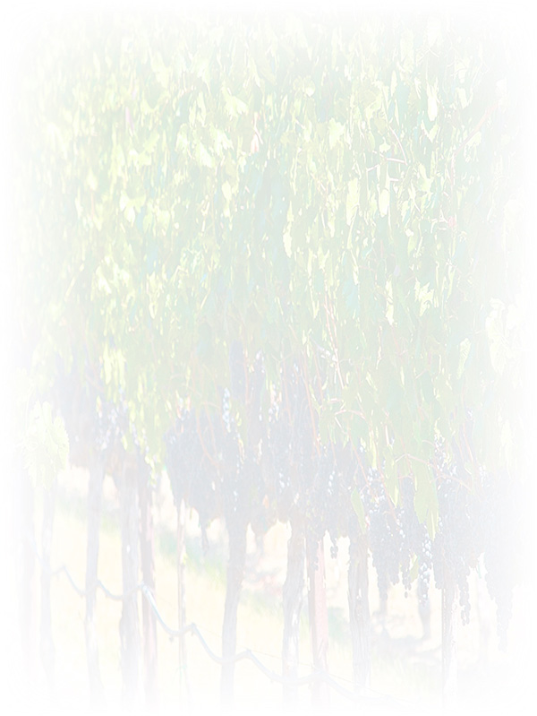 Law of Attraction Card - Image 3
