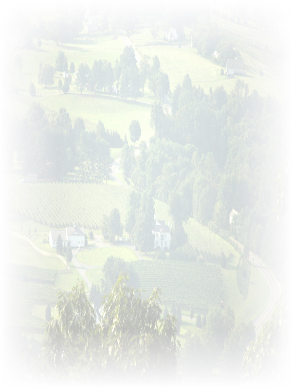 Law of Attraction Card - Image 3