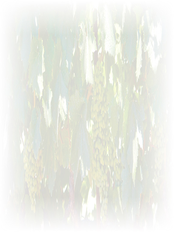 Law of Attraction Card - Image 3