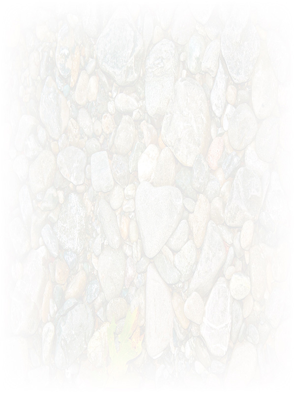 Law of Attraction Card - Image 3