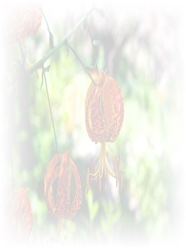 Law of Attraction Card - Image 3