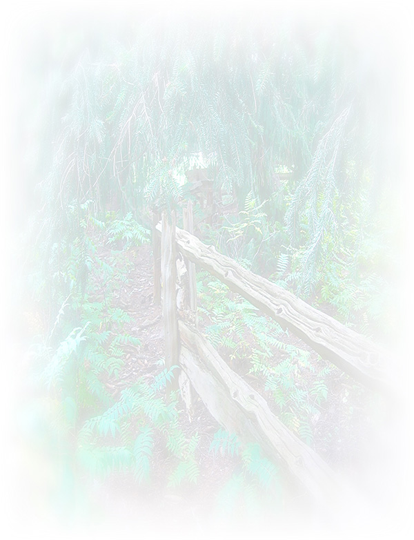 Law of Attraction Card - Image 3