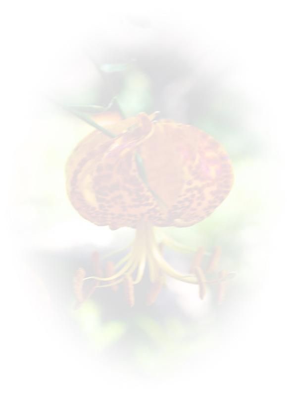 Law of Attraction Card - Image 3