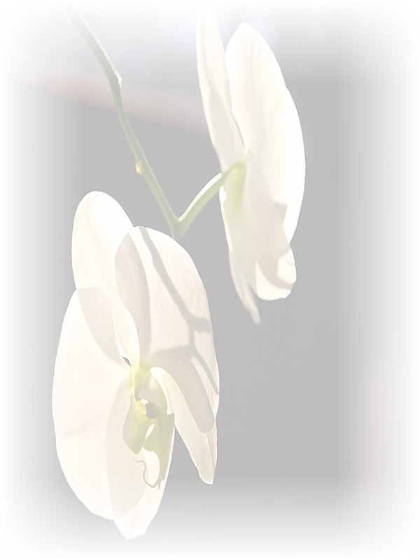 Law of Attraction Card - Image 3