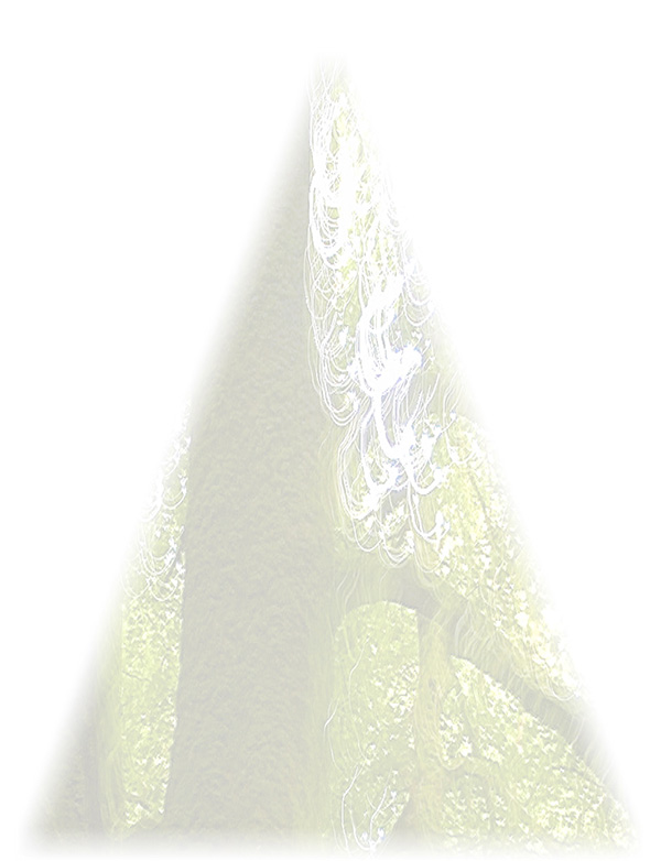 Law of Attraction Card - Image 3