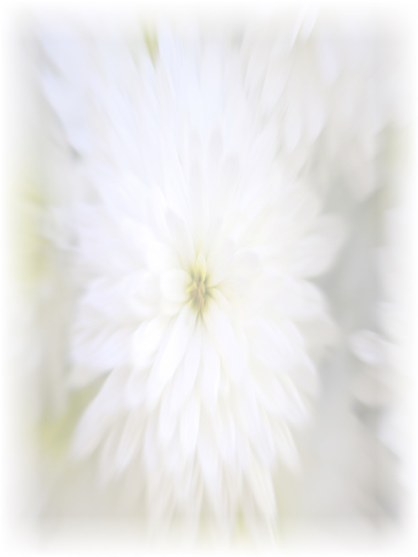 Law of Attraction Card - Image 3