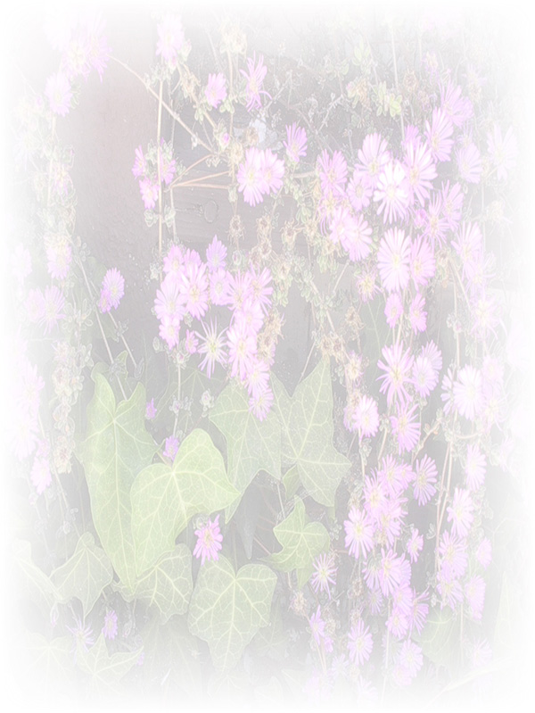 Law of Attraction Card - Image 3