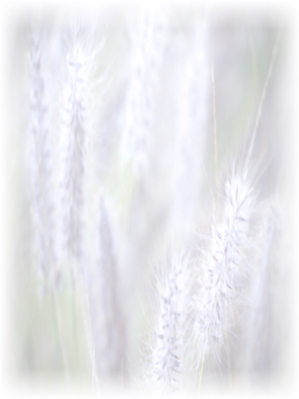 Law of Attraction Card - Image 3