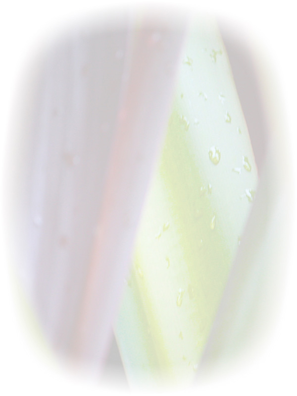 Law of Attraction Card - Image 3