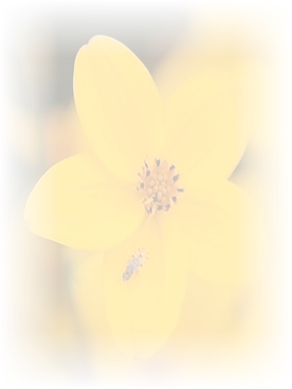Law of Attraction Card - Image 3