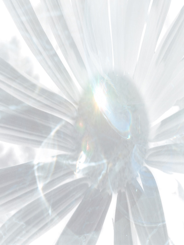 Law of Attraction Card - Image 3