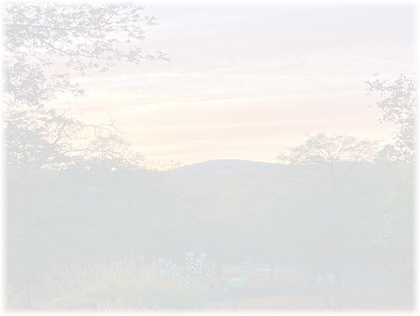 Law of Attraction Card - Image 3