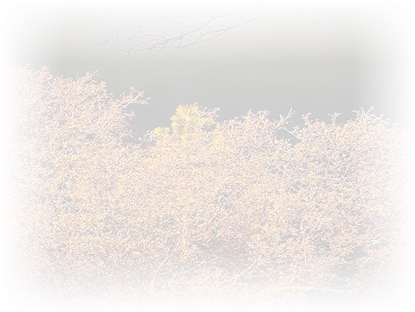Law of Attraction Card - Image 3