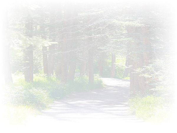 Law of Attraction Card - Image 3
