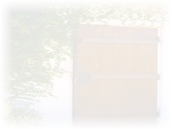 Law of Attraction Card - Image 3