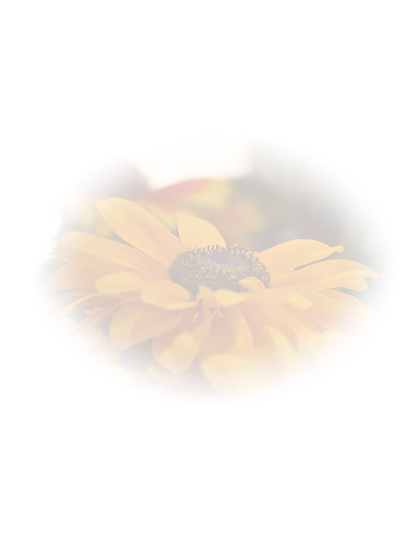 Law of Attraction Card - Image 3