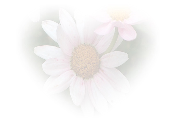 Law of Attraction Card - Image 3