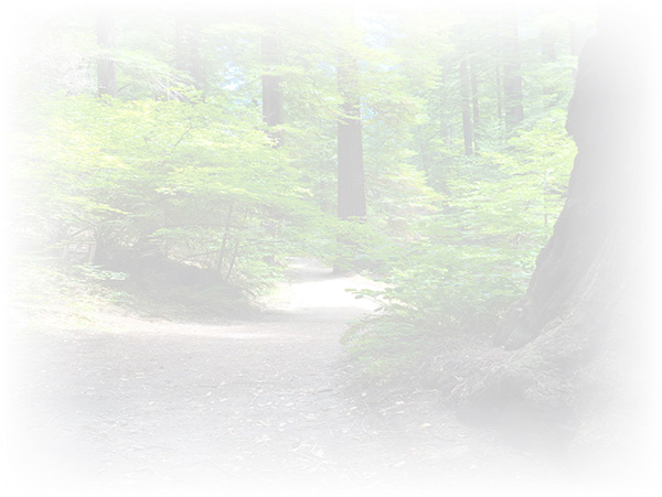 Law of Attraction Card - Image 3