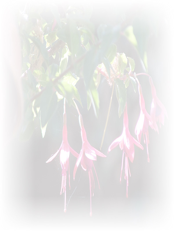 Law of Attraction Card - Image 3