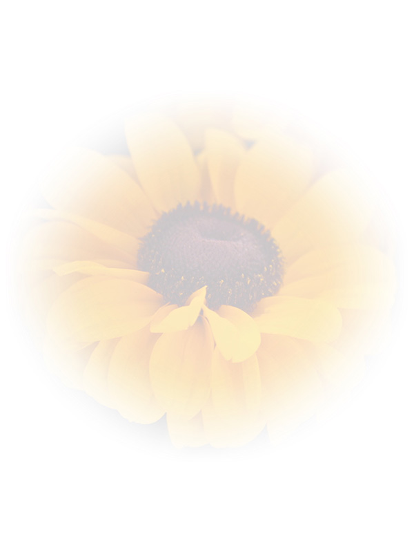Law of Attraction Card - Image 3