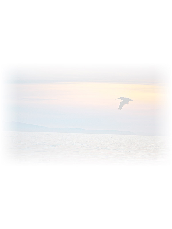 Law of Attraction Card - Image 3
