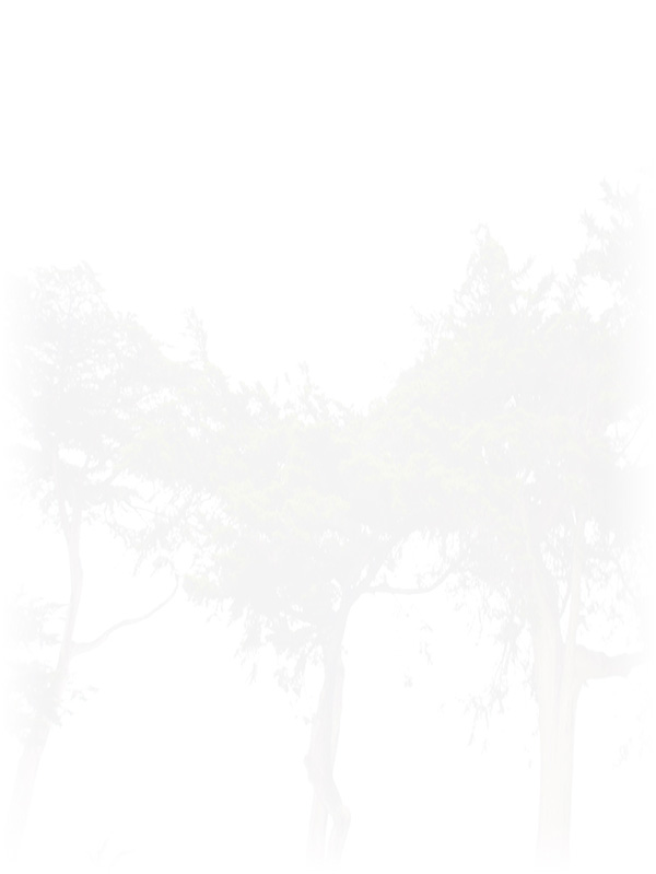 Law of Attraction Card - Image 3