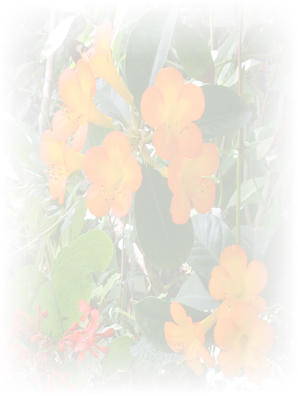 Law of Attraction Card - Image 3