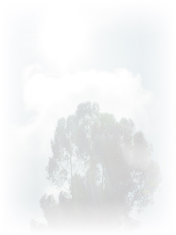 Law of Attraction Card - Image 3