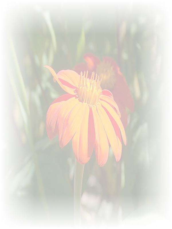 Law of Attraction Card - Image 3