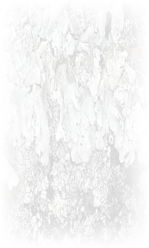 Law of Attraction Card - Image 3
