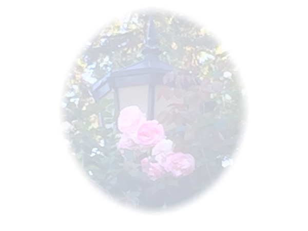 Law of Attraction Card - Image 3