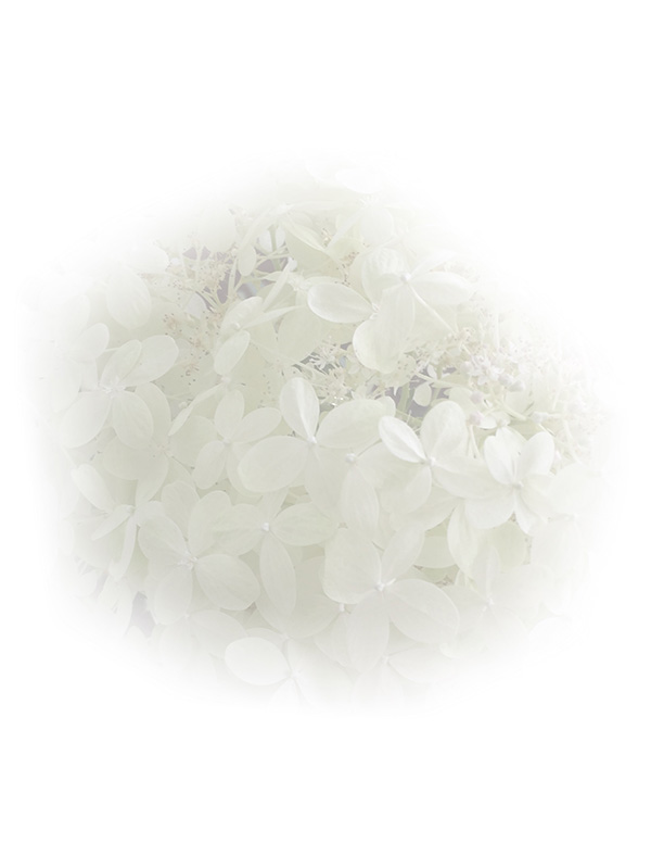 Law of Attraction Card - Image 3