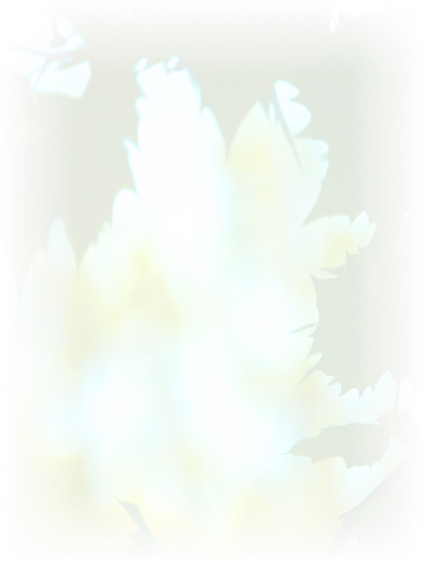 Law of Attraction Card - Image 3