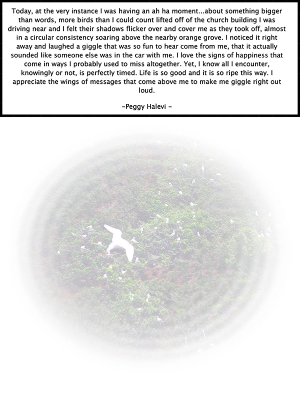 Law of Attraction Card - Image 3