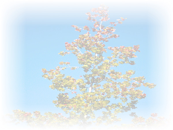 Law of Attraction Card - Image 3