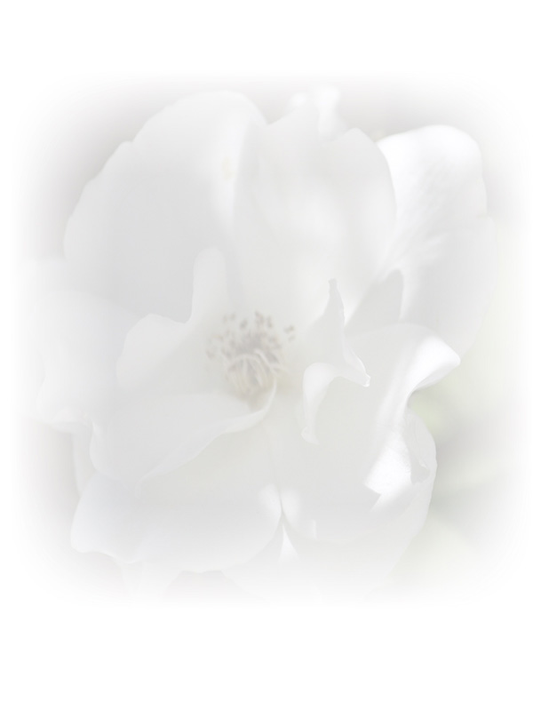 Law of Attraction Card - Image 3
