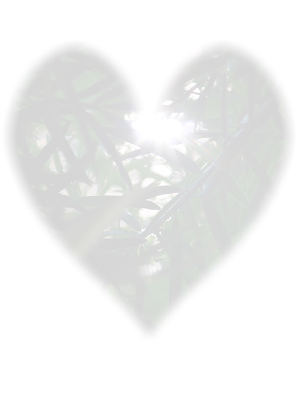 Law of Attraction Card - Image 3