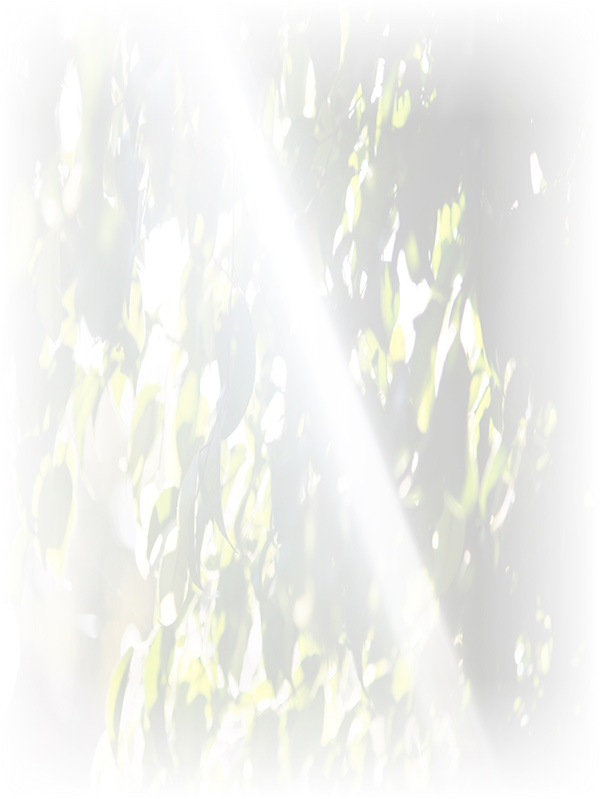 Law of Attraction Card - Image 3