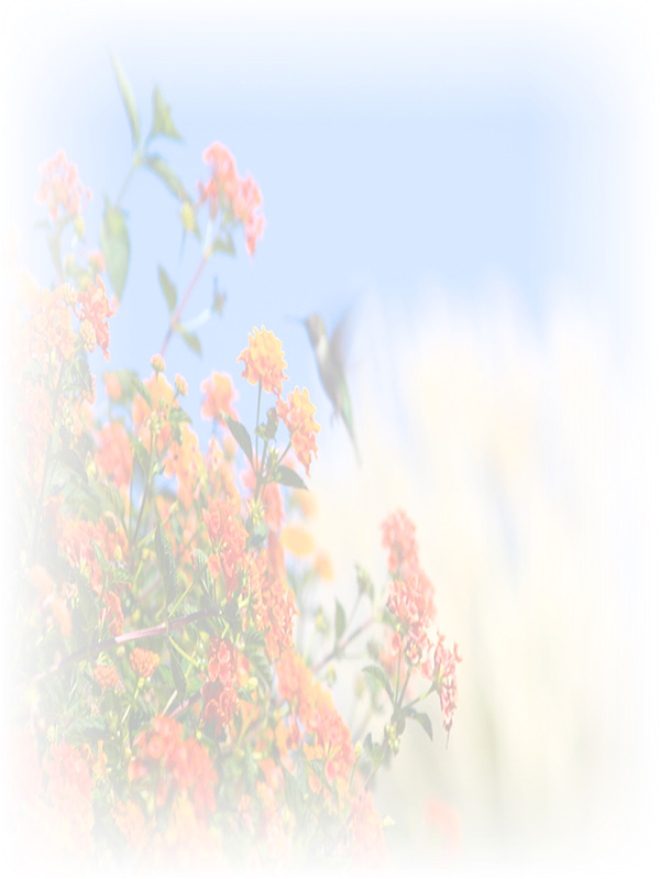 Law of Attraction Card - Image 3