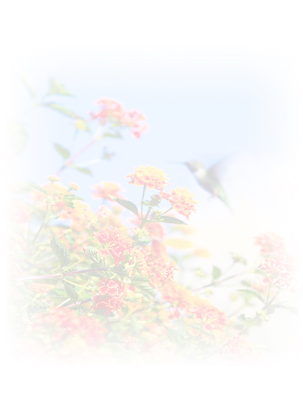 Law of Attraction Card - Image 3