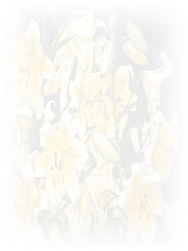 Law of Attraction Card - Image 3