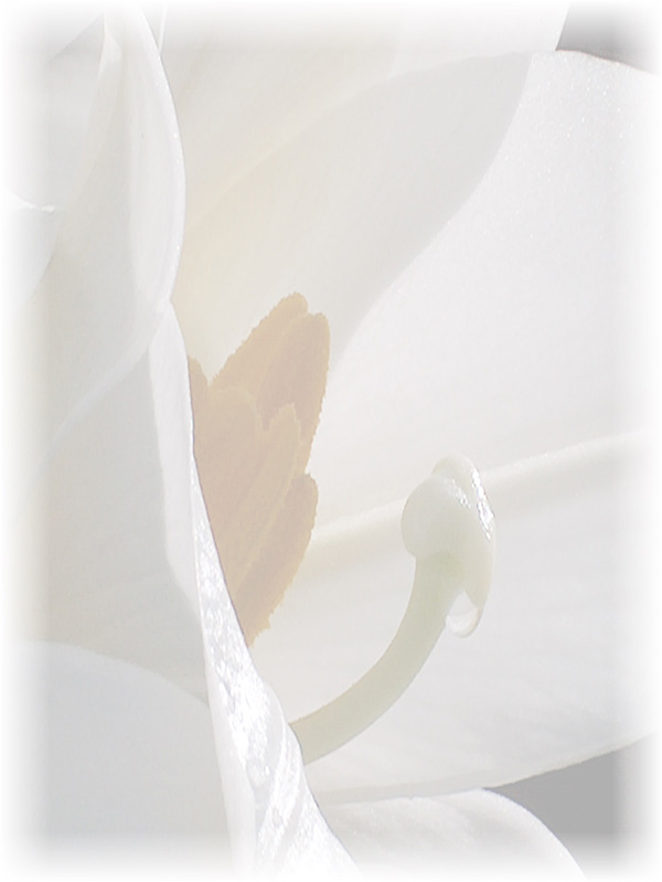 Law of Attraction Card - Image 3