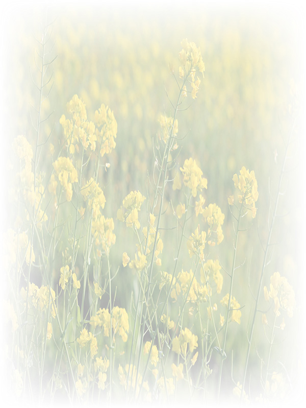 Law of Attraction Card - Image 3