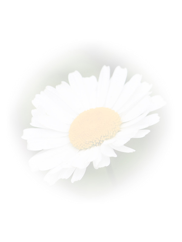 Law of Attraction Card - Image 3